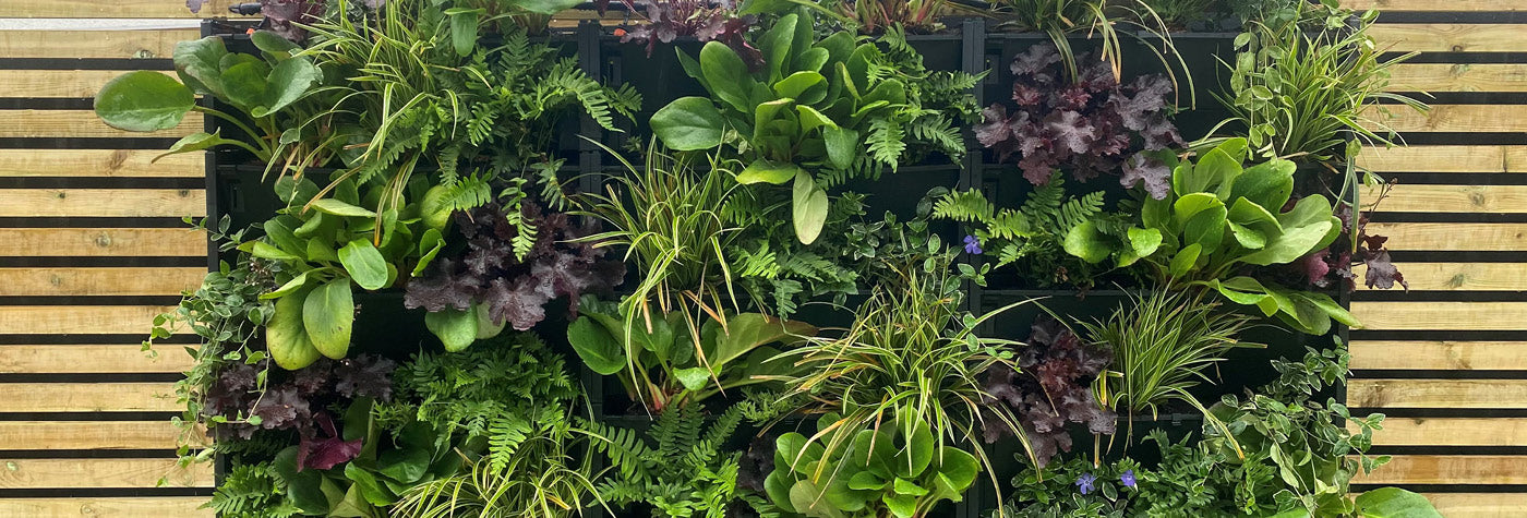 New: Living Wall Planters for a Vertical Garden – Bluum Stores