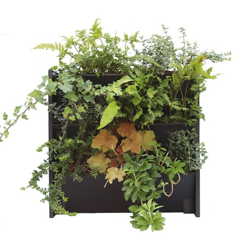 Living Wall System + Plants + Compost: External Sunny Bundle