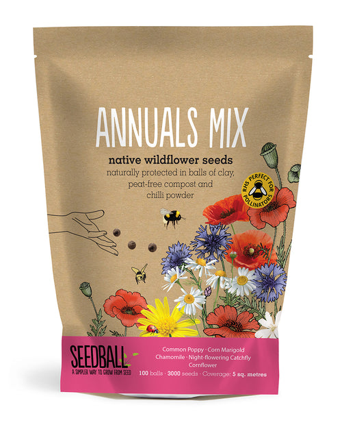 Annuals Mix wildflower seed balls