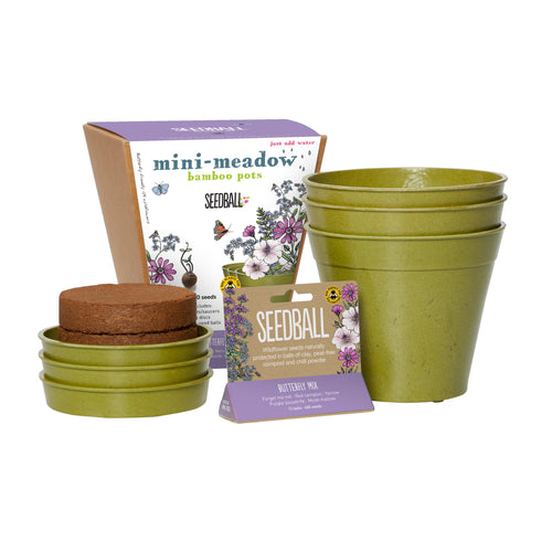 Mini wildflower meadow bamboo pots, an ideal gift set 