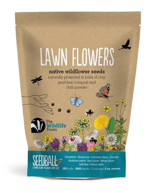 Lawn Flowers wildflower seed balls