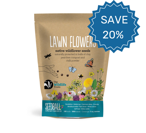 Save 20% on lawn flower wildflower seed balls