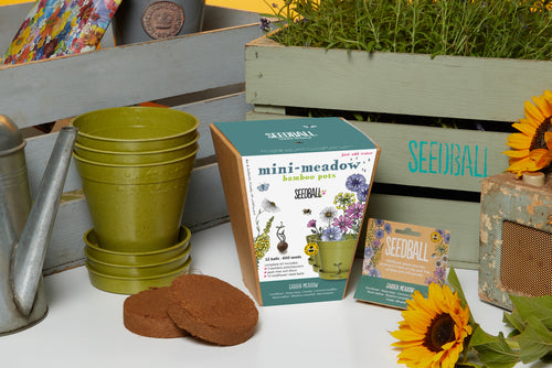 Contents of mini wildflower meadow bamboo pots, an ideal gift set 