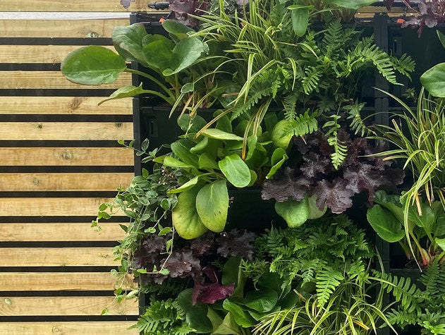 Living wall vertical planters for indoor or outdoor vertical gardening