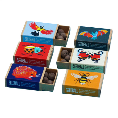 Wildflower Seedball Boxes, ideal eco friendly gift ideas