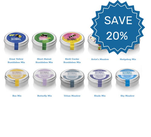 Save 20% on wildflower seedball tins