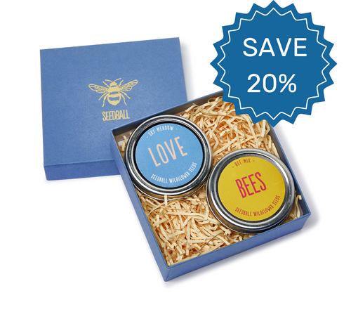 Save 20% on the love bees gift set 